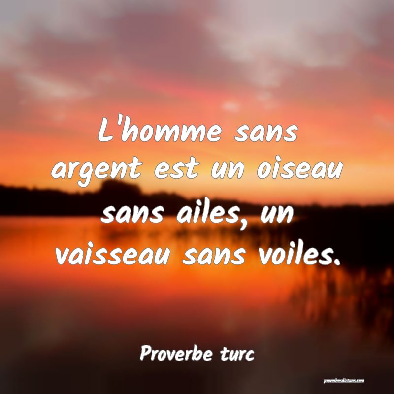 L'homme sans argent est un oiseau sans ailes, un vaisseau sans voiles.