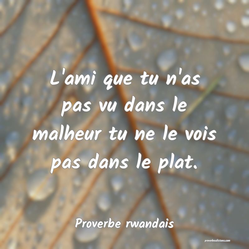 L'ami que tu n'as pas vu dans le malheur tu ne le vois pas dans le plat.