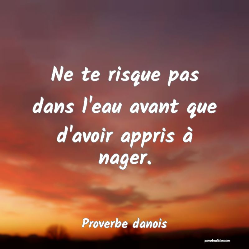 Ne te risque pas dans l'eau avant que d'avoir appris à nager.