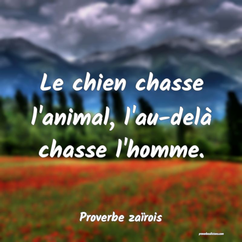 Le chien chasse l'animal, l'au-delà chasse l'homme.