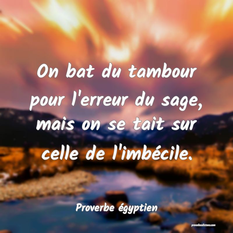 On bat du tambour pour l'erreur du sage, mais on se tait sur celle de l'imbécile.