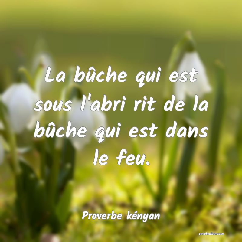 La bûche qui est sous l'abri rit de la bûche qui est dans le feu.