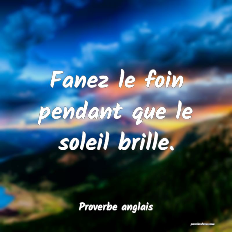 Fanez le foin pendant que le soleil brille.