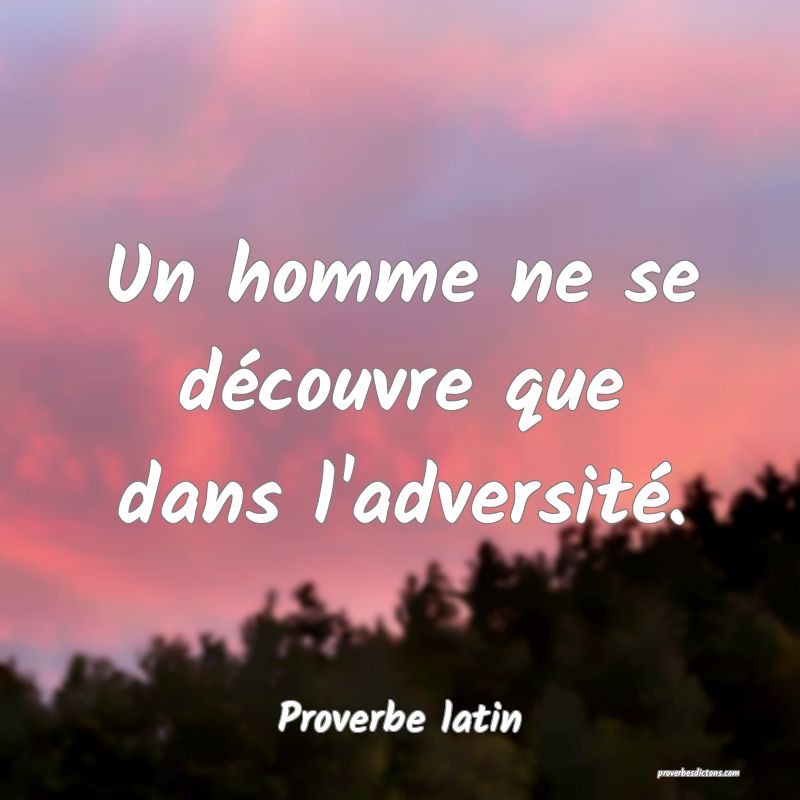 Un homme ne se découvre que dans l'adversité.