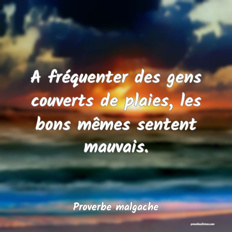 A fréquenter des gens couverts de plaies, les bons mêmes sentent mauvais.
