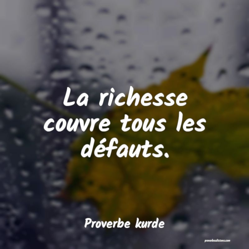 La richesse couvre tous les défauts.