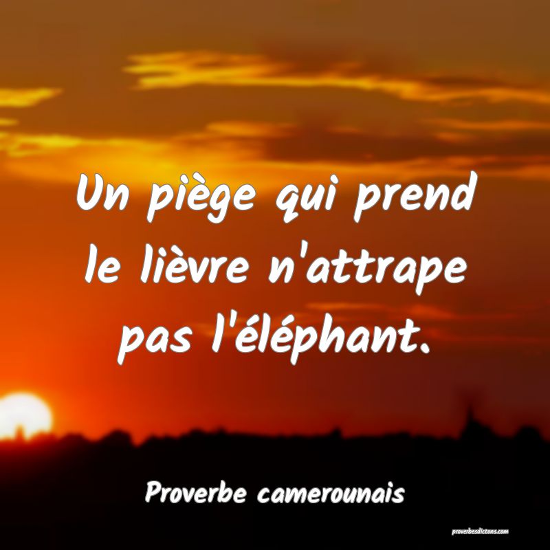 Un piège qui prend le lièvre n'attrape pas l'éléphant.