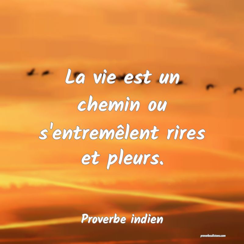 La vie est un chemin ou s'entremêlent rires et pleurs.