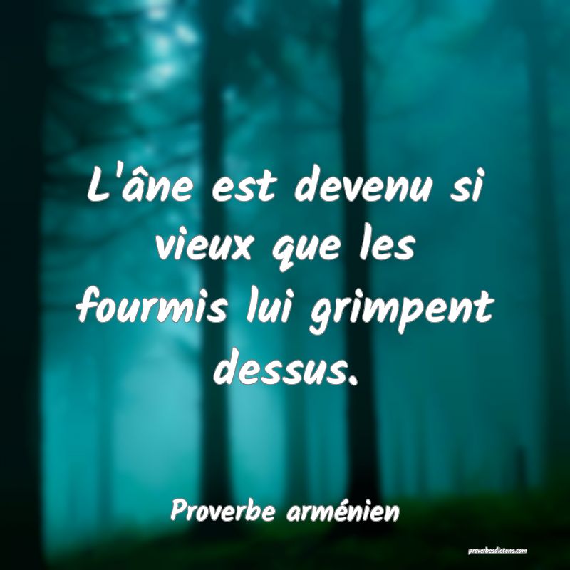 L'âne est devenu si vieux que les fourmis lui grimpent dessus.
