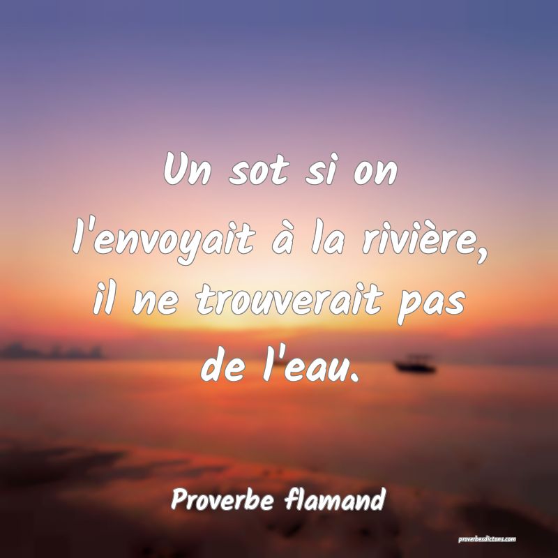 Un sot si on l'envoyait à la rivière, il ne trouverait pas de l'eau.