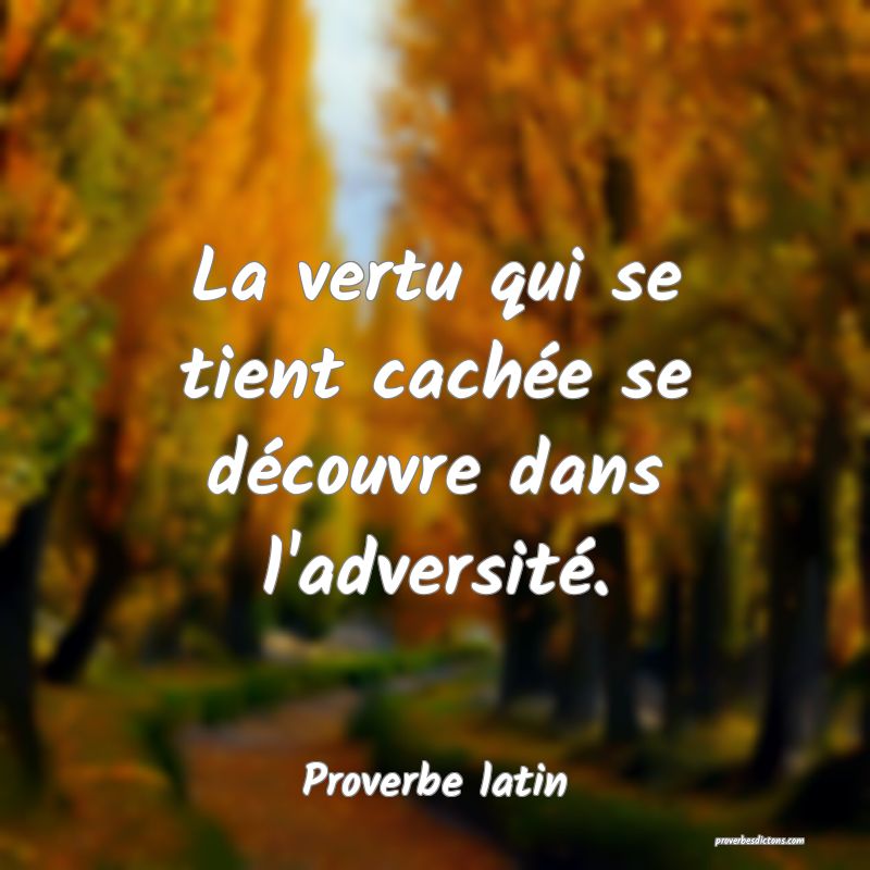 La vertu qui se tient cachée se découvre dans l'adversité.