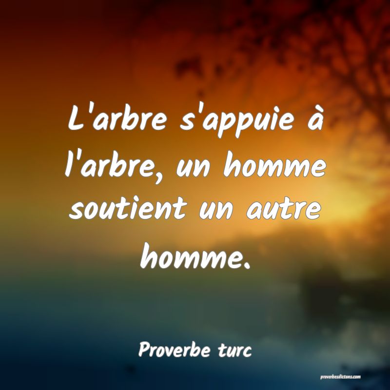 L'arbre s'appuie à l'arbre, un homme soutient un autre homme.