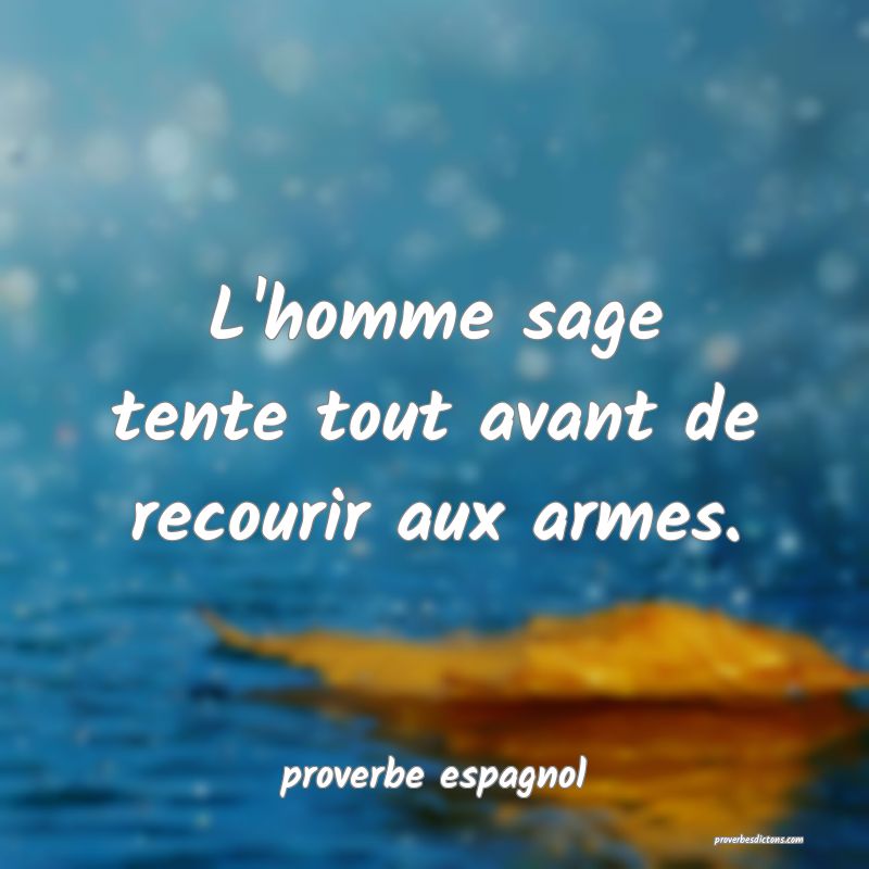  L'homme sage tente tout avant de recourir aux armes.