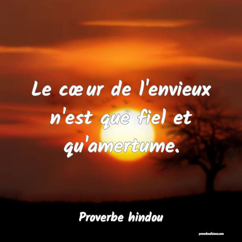 Le cœur de l'envieux n'est que fiel et qu'amertume.