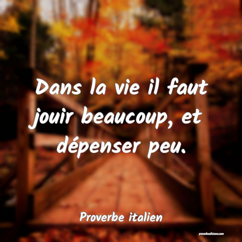 Dans la vie il faut jouir beaucoup, et dépenser peu.