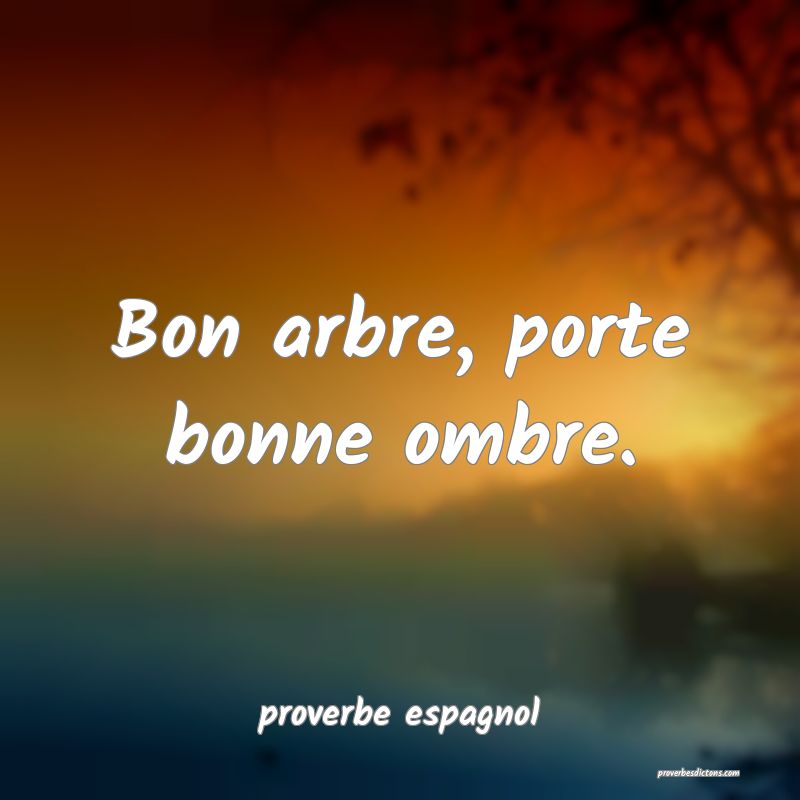  Bon arbre, porte bonne ombre.