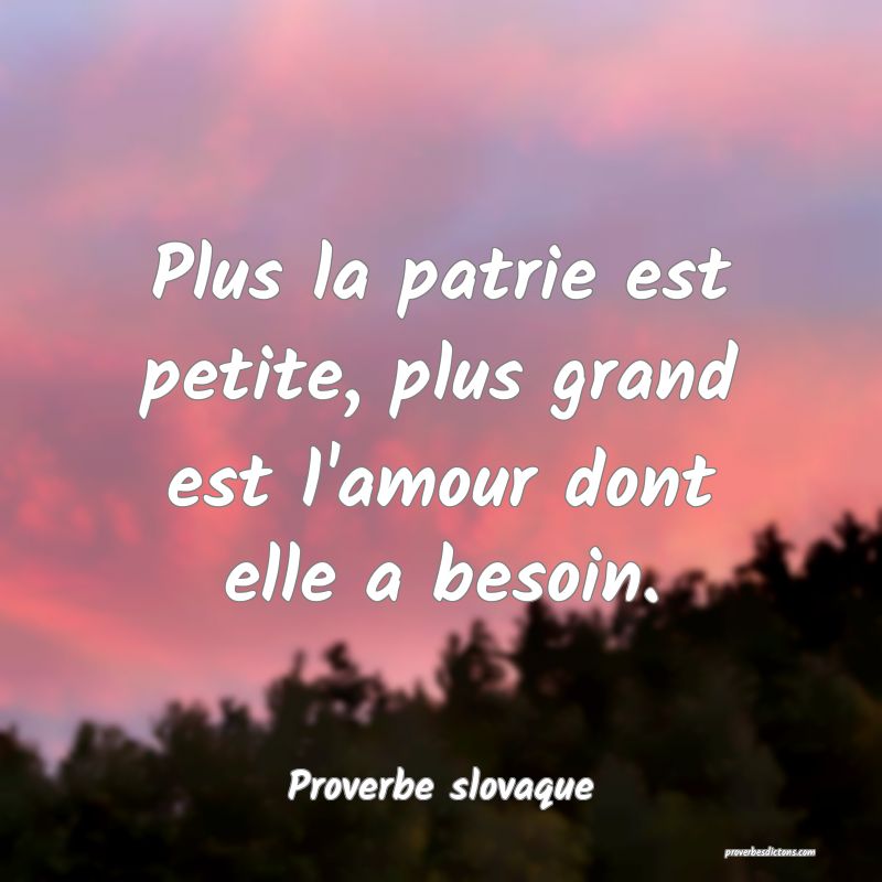 Plus la patrie est petite, plus grand est l'amour dont elle a besoin.