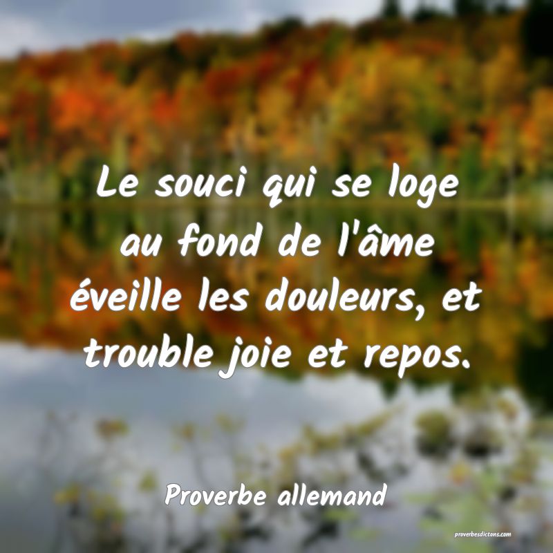 Le souci qui se loge au fond de l'âme éveille les douleurs, et trouble joie et repos.
