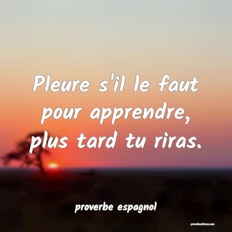  Pleure s'il le faut pour apprendre, plus tard tu riras.