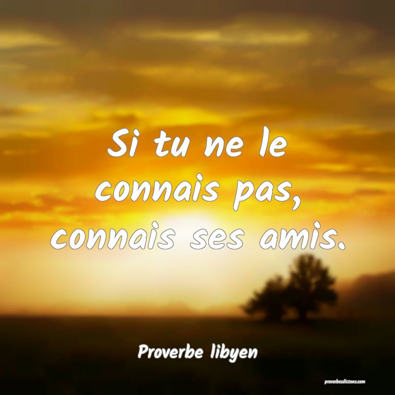 Si tu ne le connais pas, connais ses amis.