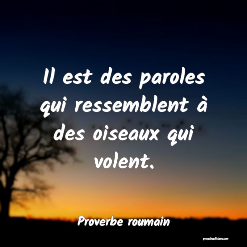 Il est des paroles qui ressemblent à des oiseaux qui volent.