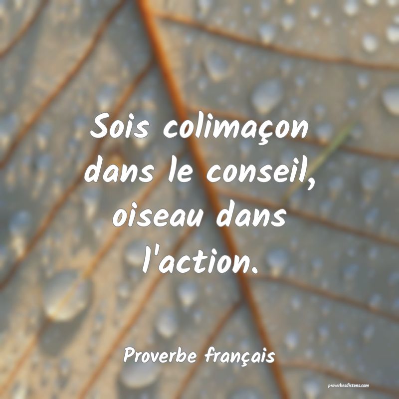 Sois colimaçon dans le conseil, oiseau dans l'action.