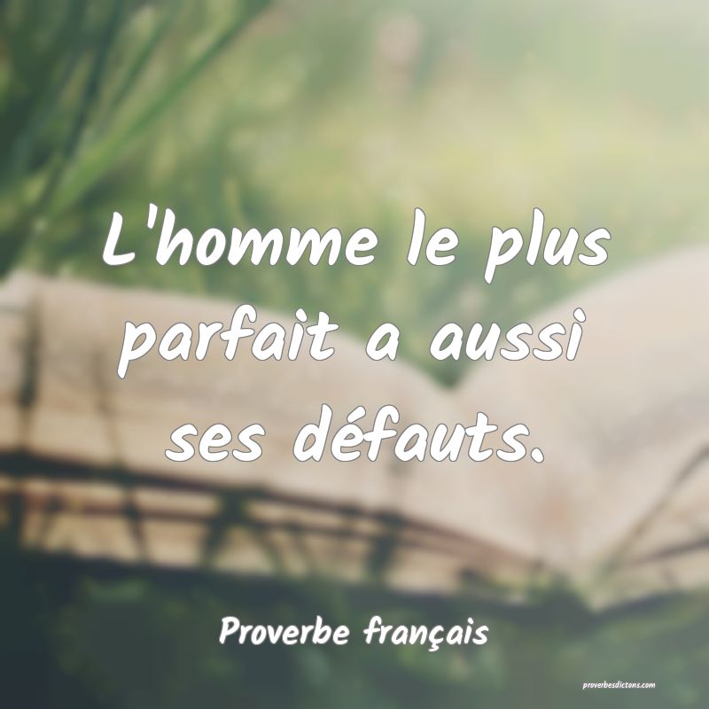 L'homme le plus parfait a aussi ses défauts.