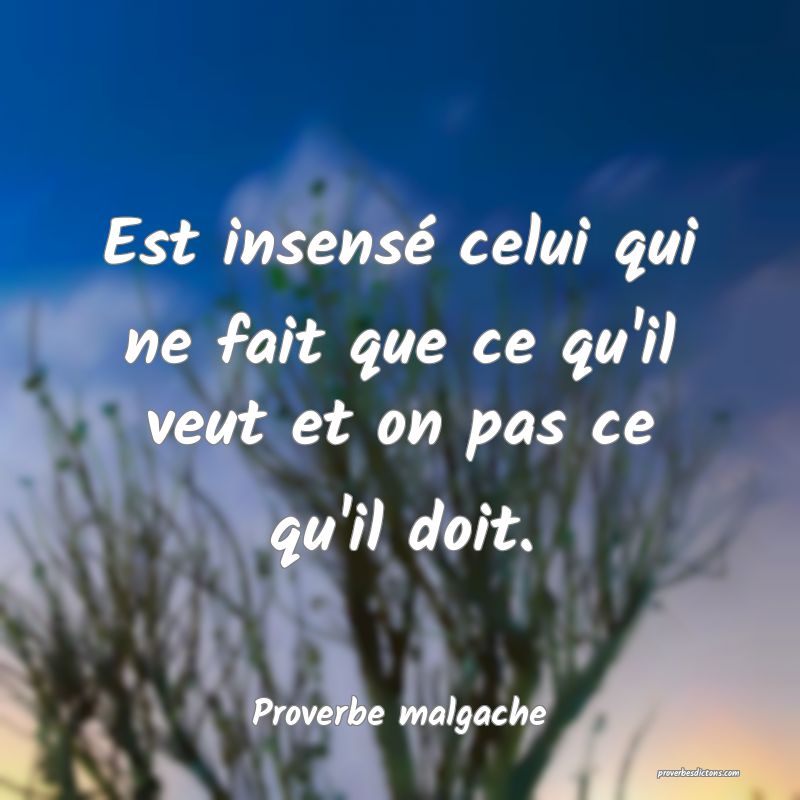 Est insensé celui qui ne fait que ce qu'il veut et on pas ce qu'il doit.