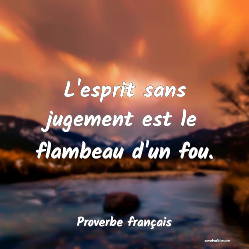 L'esprit sans jugement est le flambeau d'un fou.