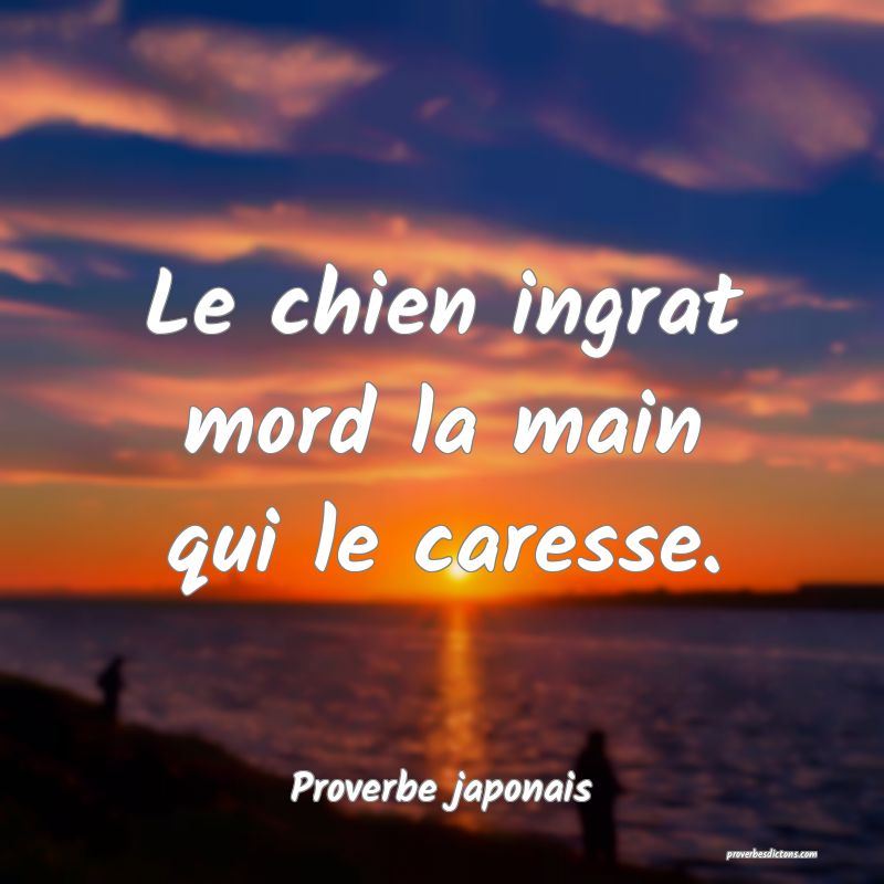 Le chien ingrat mord la main qui le caresse.