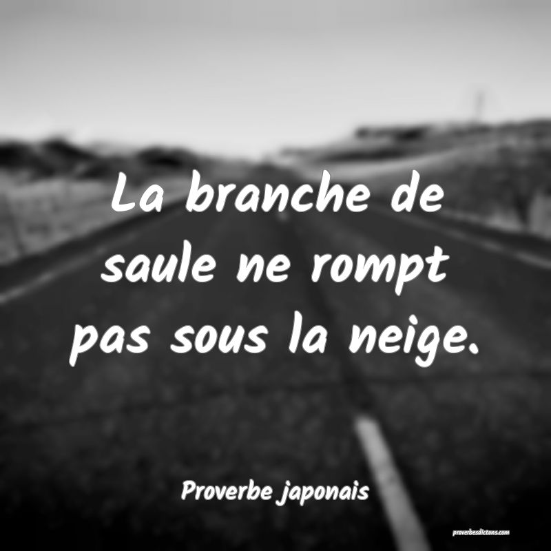 La branche de saule ne rompt pas sous la neige.