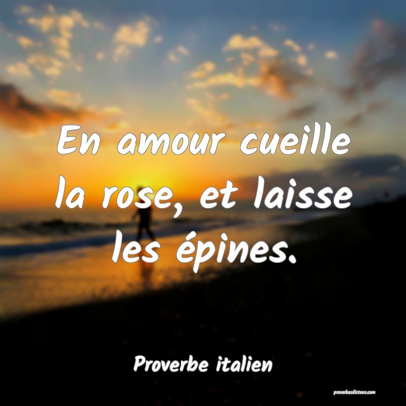 En amour cueille la rose, et laisse les épines.