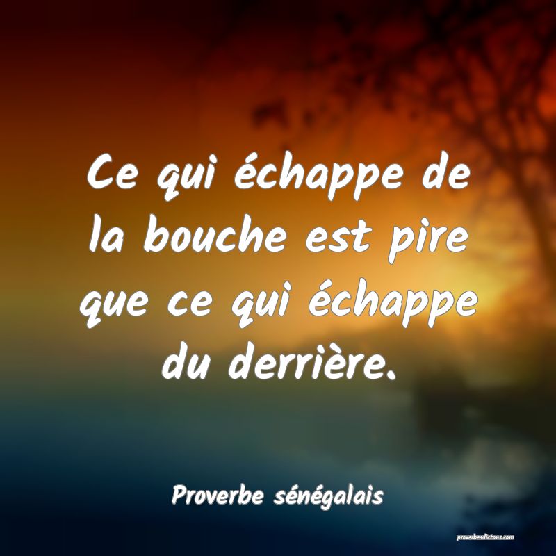 Ce qui échappe de la bouche est pire que ce qui échappe du derrière.