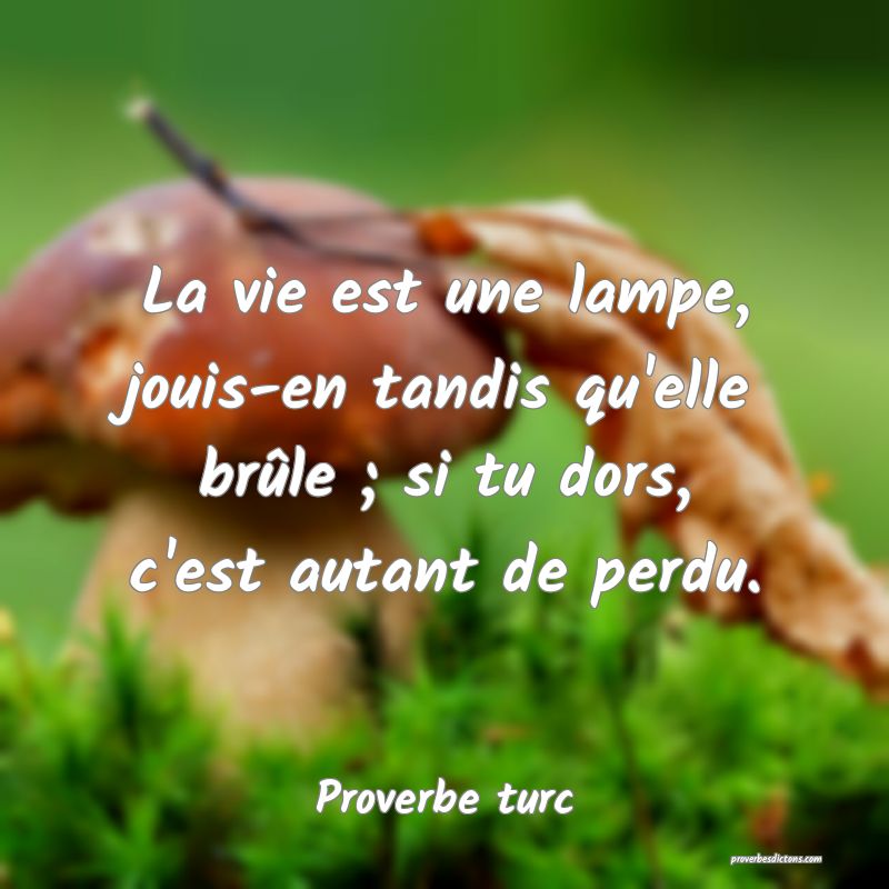 La vie est une lampe, jouis-en tandis qu'elle brûle ; si tu dors, c'est autant de perdu.
