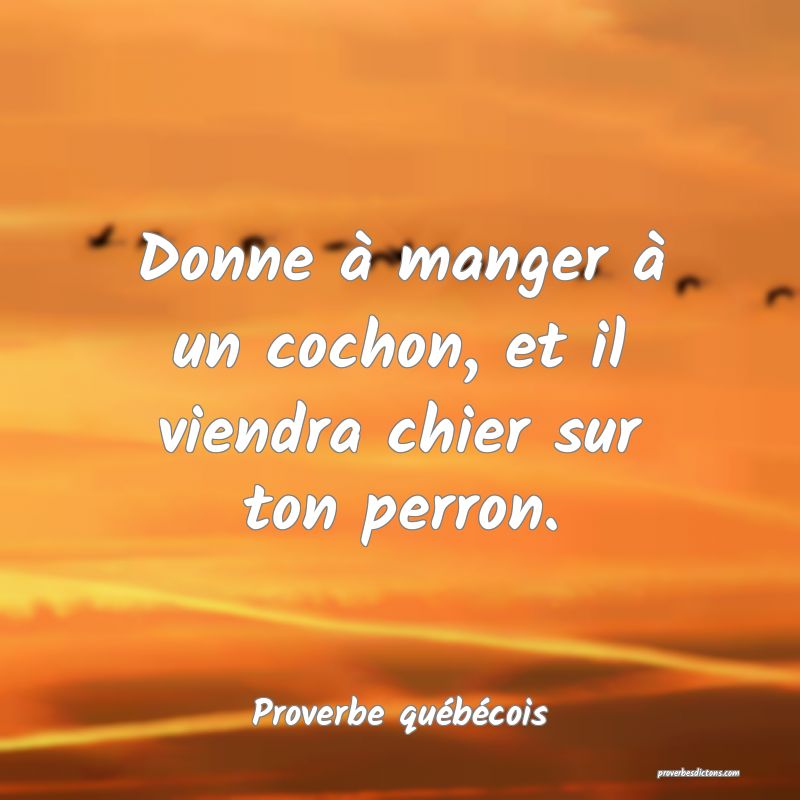 Donne à manger à un cochon, et il viendra chier sur ton perron.