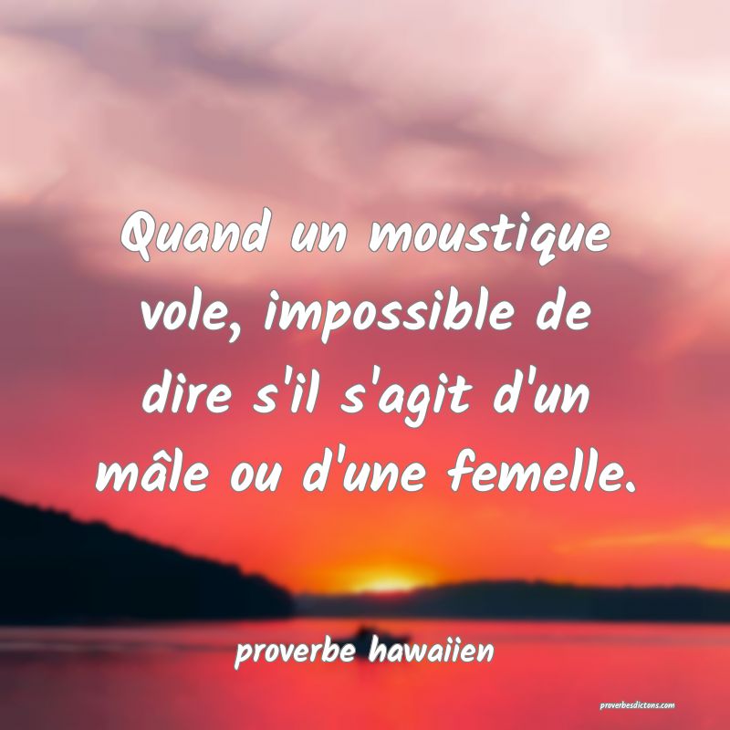  Quand un moustique vole, impossible de dire s'il s'agit d'un mâle ou d'une femelle.