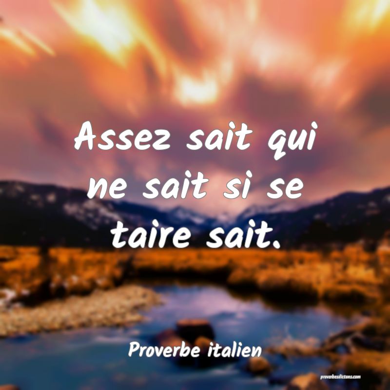 Assez sait qui ne sait si se taire sait.