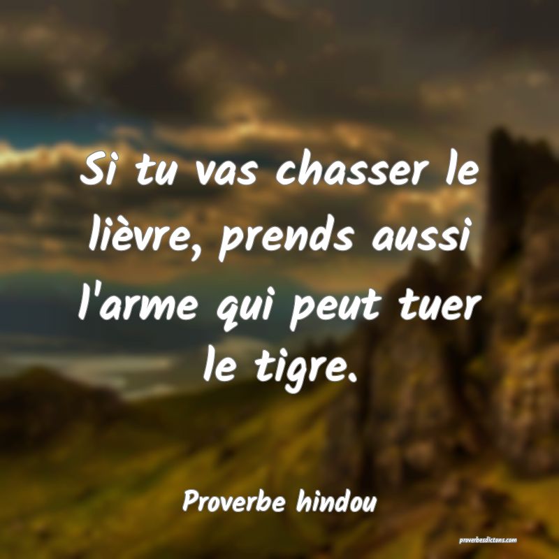 Si tu vas chasser le lièvre, prends aussi l'arme qui peut tuer le tigre.