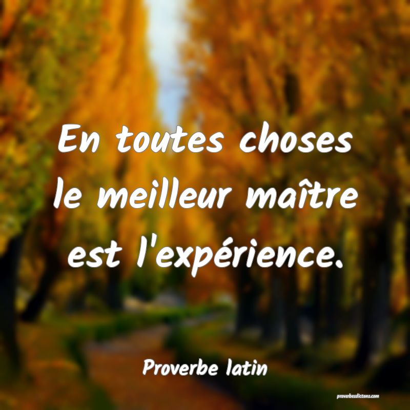 En toutes choses le meilleur maître est l'expérience.