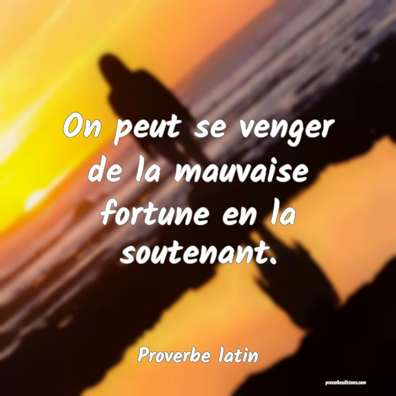 On peut se venger de la mauvaise fortune en la soutenant.