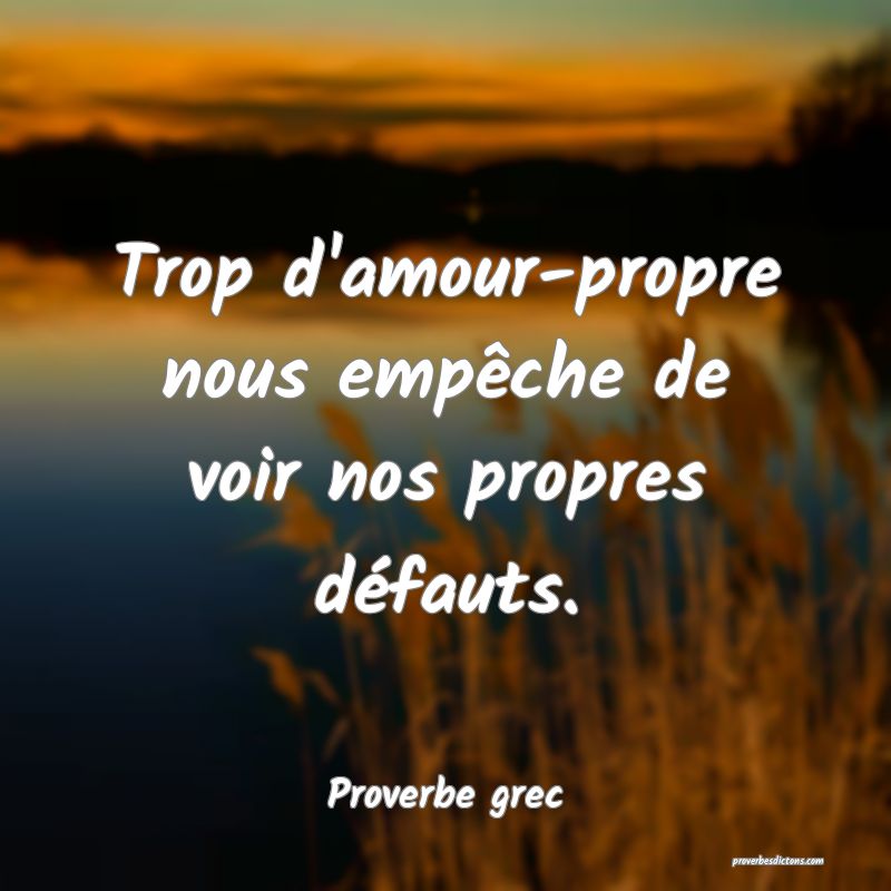 Trop d'amour-propre nous empêche de voir nos propres défauts.