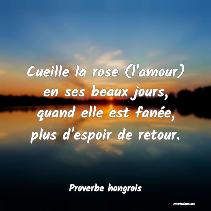 Cueille la rose (l'amour) en ses beaux jours, quand elle est fanée, plus d'espoir de retour.