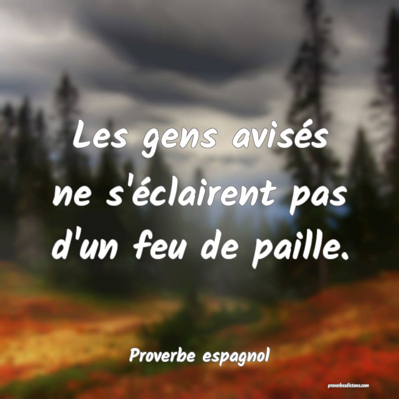 Les gens avisés ne s'éclairent pas d'un feu de paille.