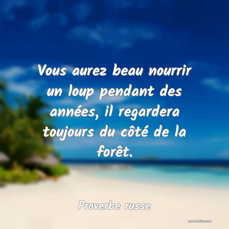 Vous aurez beau nourrir un loup pendant des années, il regardera toujours du côté de la forêt.