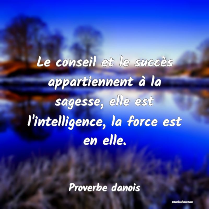 Le conseil et le succès appartiennent à la sagesse, elle est l'intelligence, la force est en elle.