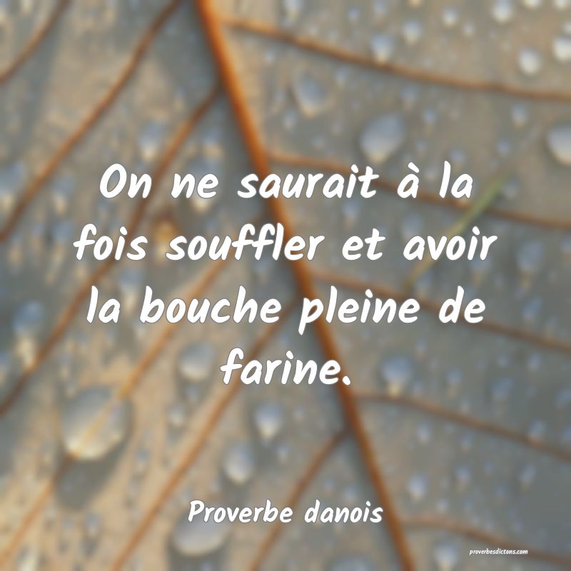 On ne saurait à la fois souffler et avoir la bouche pleine de farine.