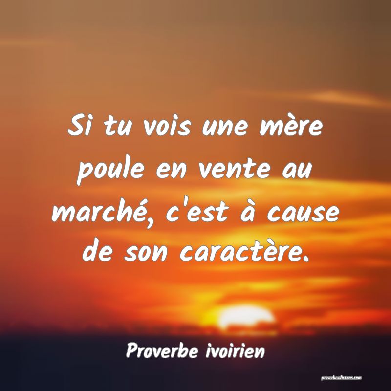 Si tu vois une mère poule en vente au marché, c'est à cause de son caractère.