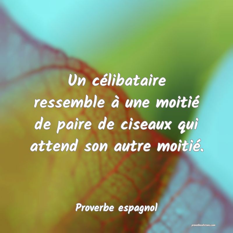 Un célibataire ressemble à une moitié de paire de ciseaux qui attend son autre moitié.