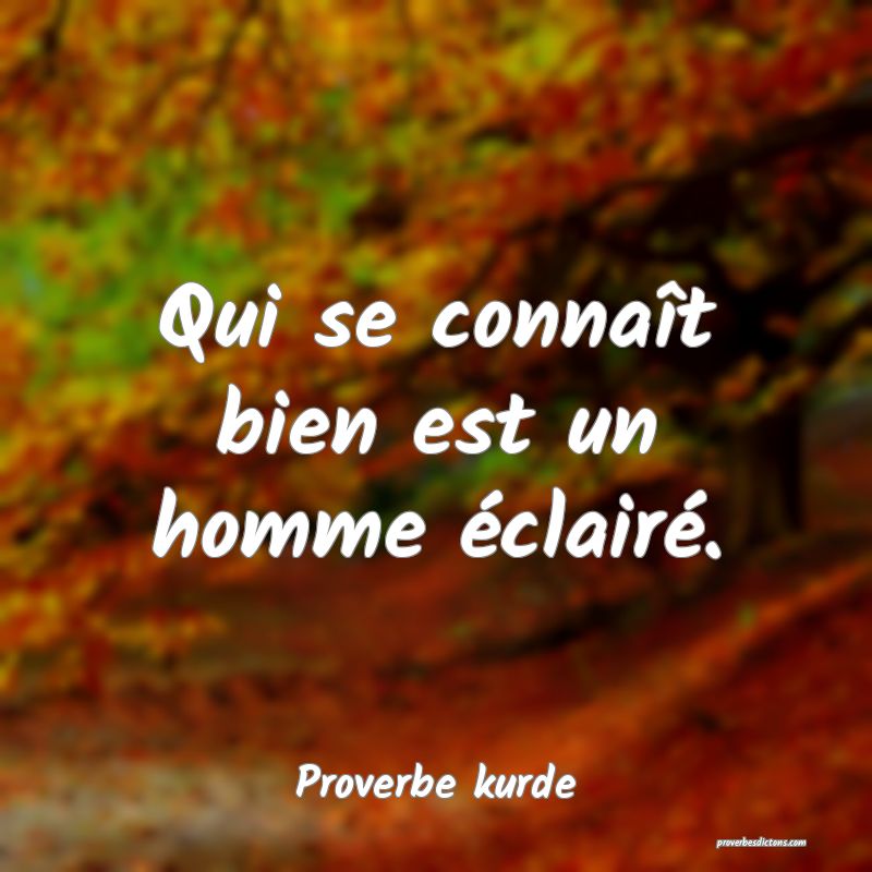 Qui se connaît bien est un homme éclairé.