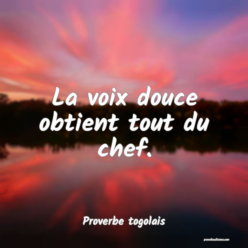 La voix douce obtient tout du chef.